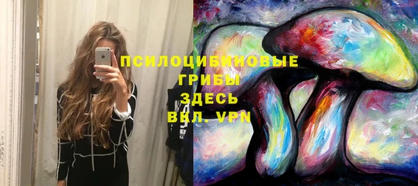 ПСИЛОЦИБИНОВЫЕ ГРИБЫ Белокуриха