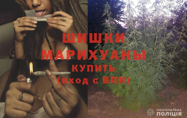 ПСИЛОЦИБИНОВЫЕ ГРИБЫ Белокуриха